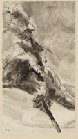 https://hist.urech-seon.ch/files/gimgs/th-12_12_aufstrebender-baumkl.jpg