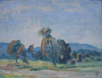 https://hist.urech-seon.ch/files/gimgs/th-9_9_pappeln-im-ried-um-1925.jpg